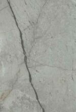 Silver Roots